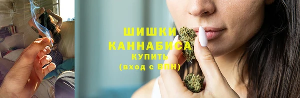 сатива Баксан