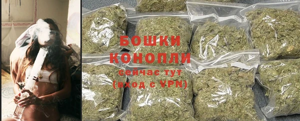 сатива Баксан