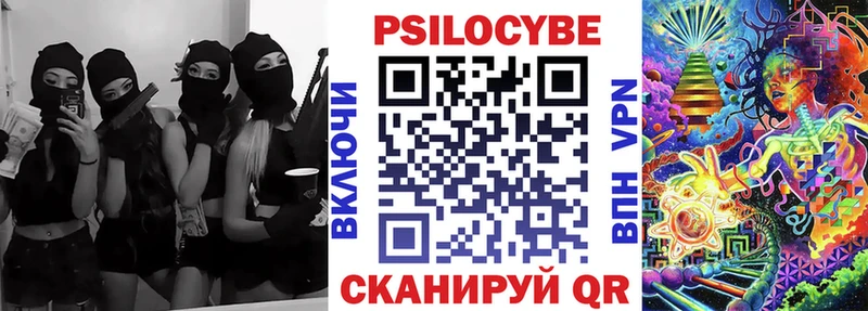 Псилоцибиновые грибы Psilocybine cubensis  гидра зеркало  Болохово 